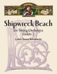 Shipwreck Beach Orchestra sheet music cover